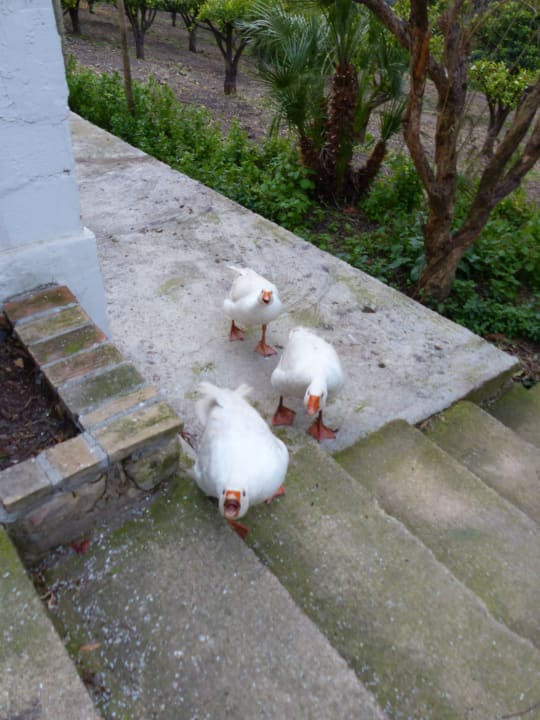 "Security" Agriturismo Vecchia Masseria