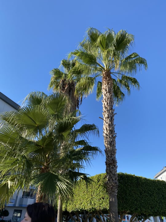 Gartenanlage Grand Seker Hotel