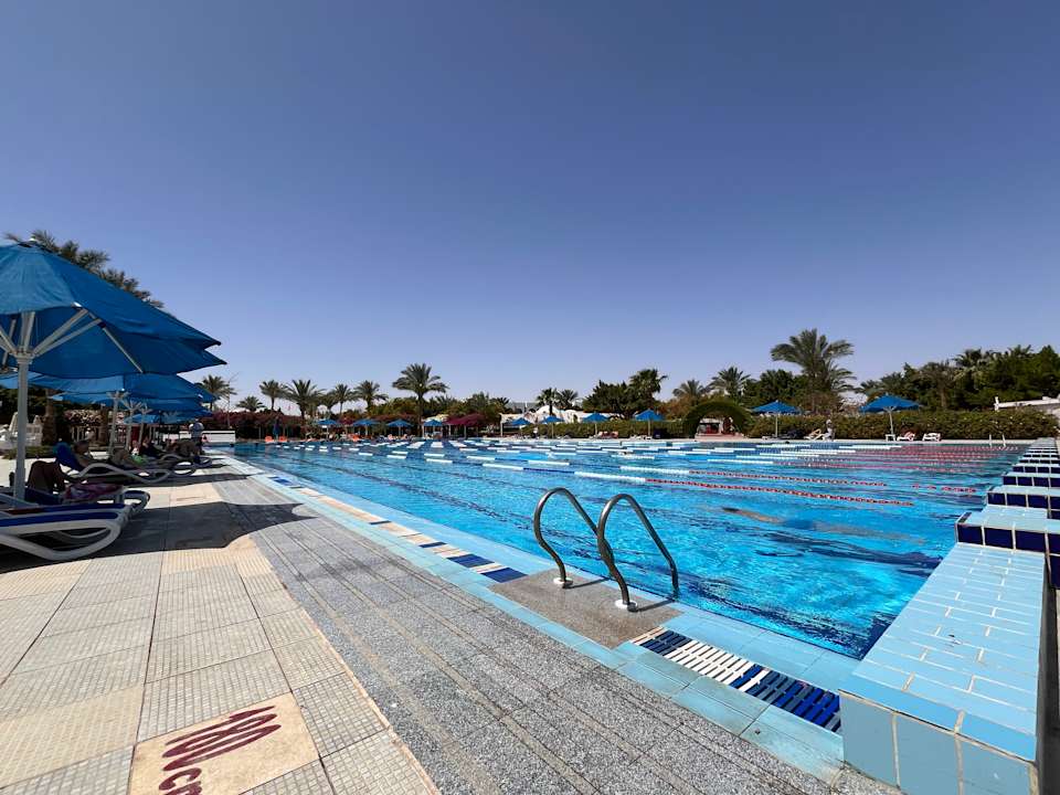 Pool Hotel Desert Rose Resort