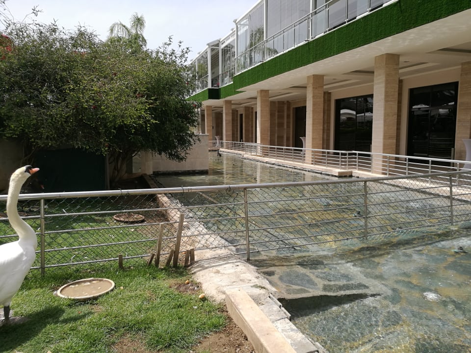 Gartenanlage Dobedan Exclusive Hotel And Spa