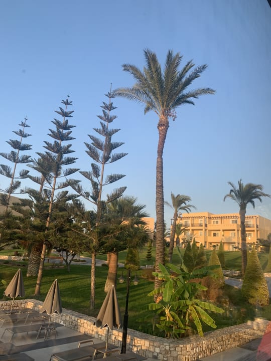 Gartenanlage Hotel Horizon Beach Resort