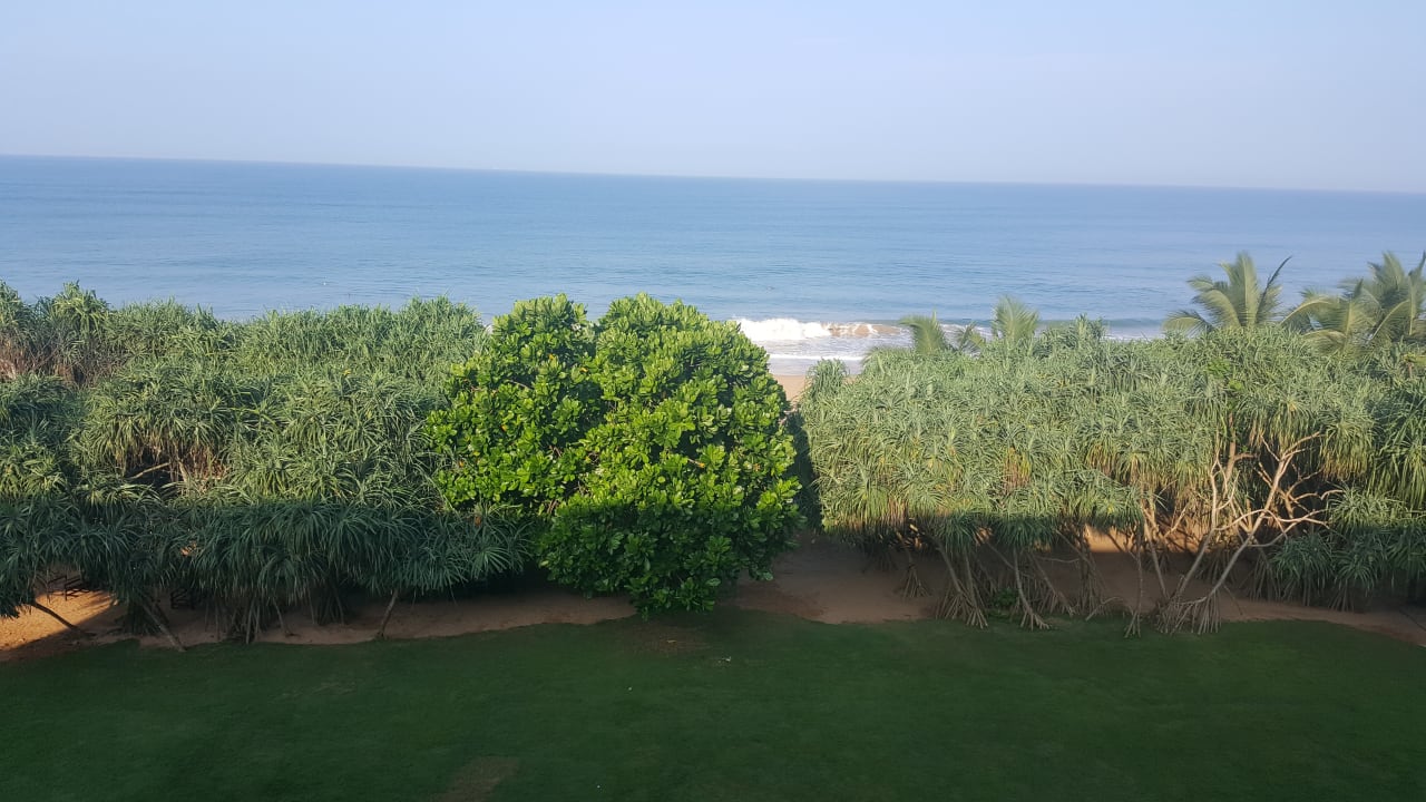 Zimmer Temple Tree Resort & Spa