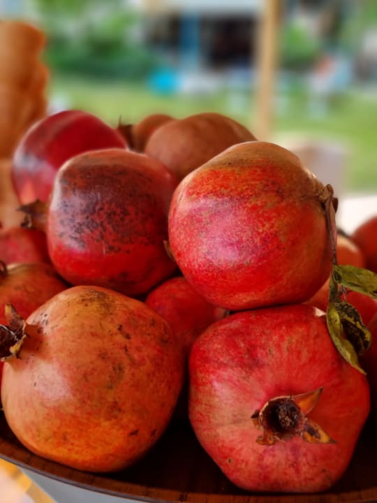 Gastro Labranda Mares Marmaris