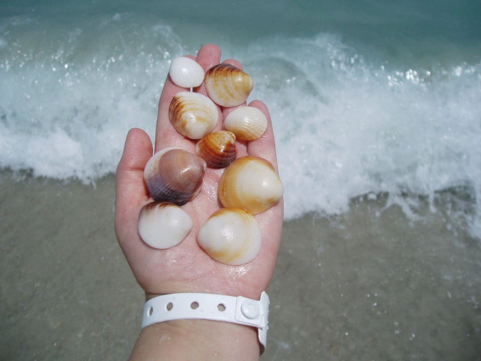 Muszelki Hotel Thalassa Mahdia