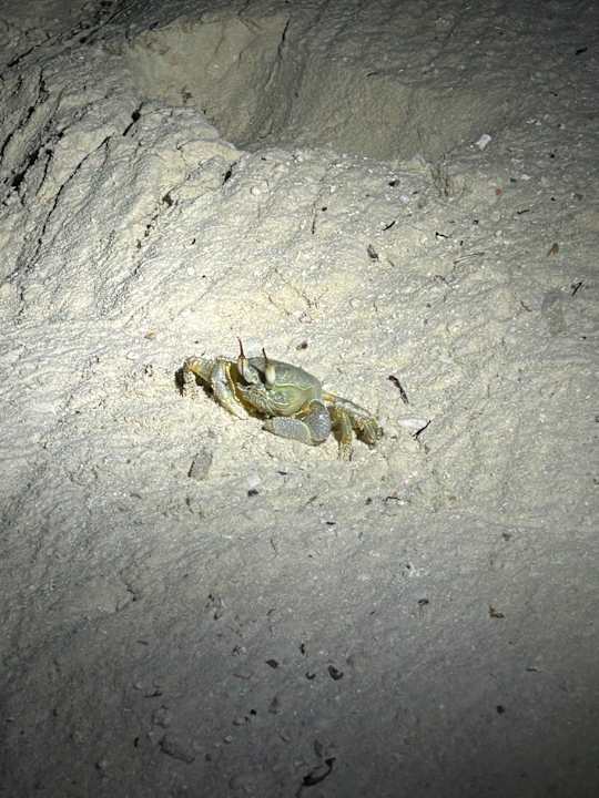 Strand Vilamendhoo Island Resort & Spa