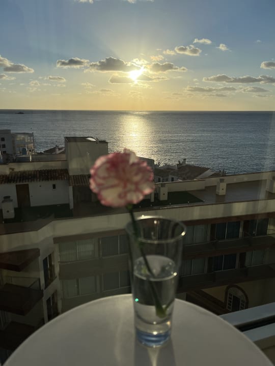 Zimmer Son Moll Sentits Hotel & Spa