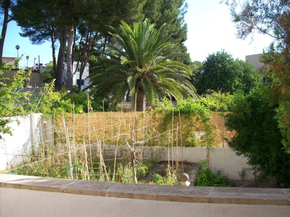 Balkon-Ausblick  Paguera Treff Boutique Hotel