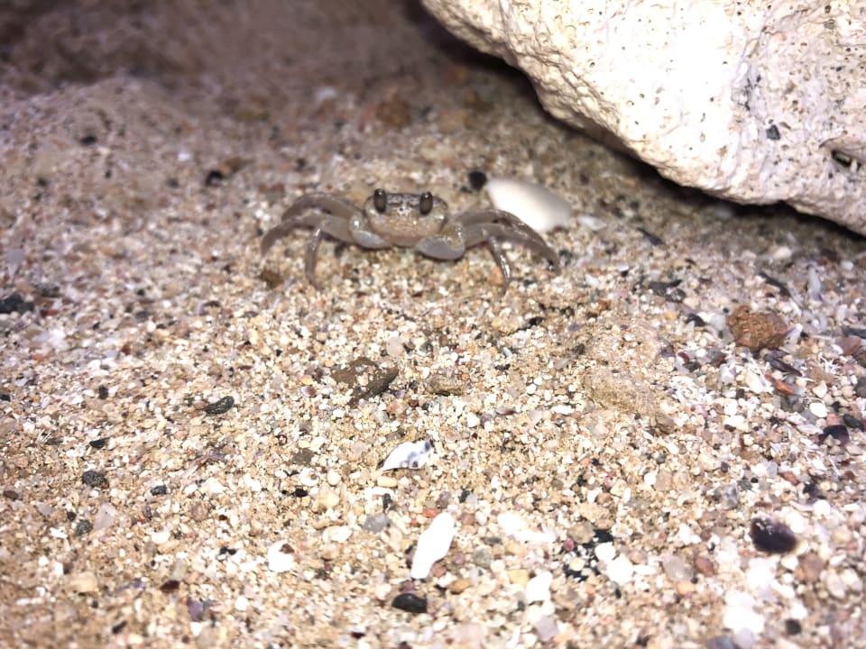 Strand Three Corners Sea Beach Resort