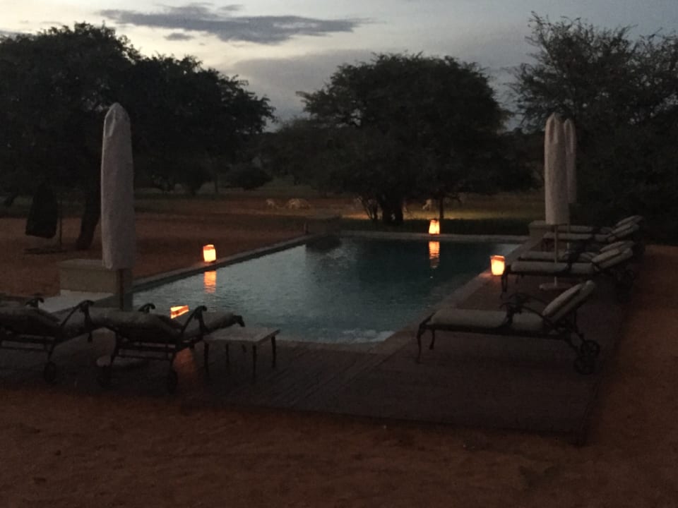 Pool Intu Afrika - Zebra Kalahari Lodge