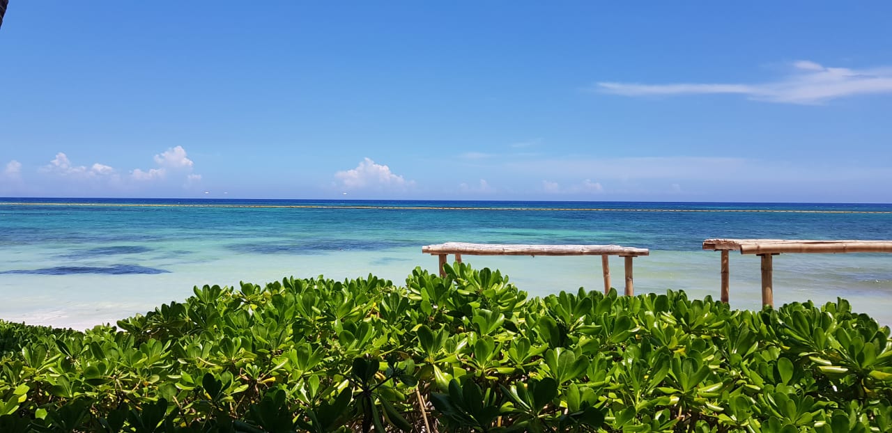 Außenansicht Akumal Bay Beach & Wellness Resort