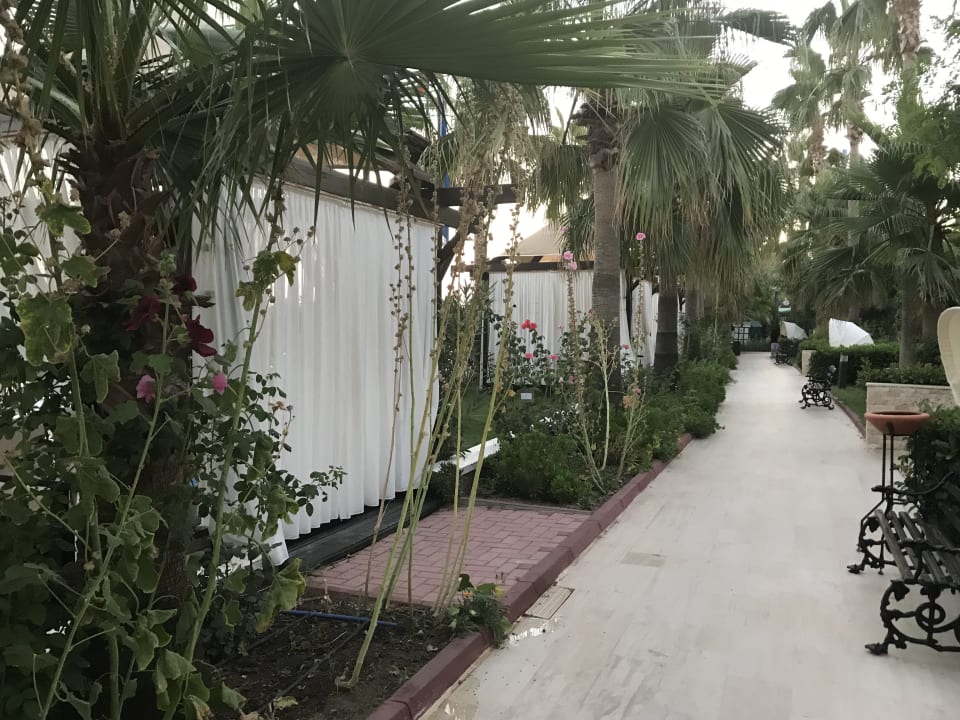 Gartenanlage Saphir Resort & Spa