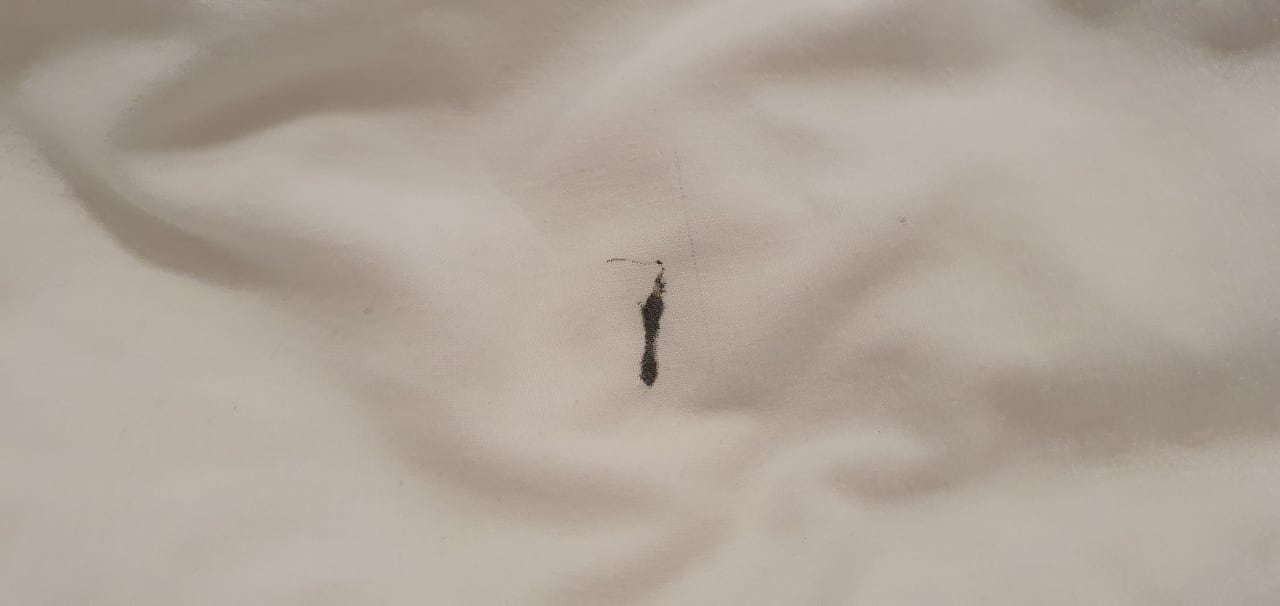 Zimmer Hotel Viva Dominicus Beach by Wyndham - All Inclusive Resort