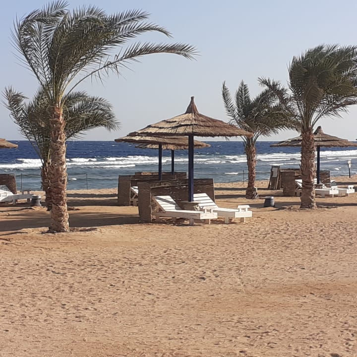 Strand Coral Sun Beach
