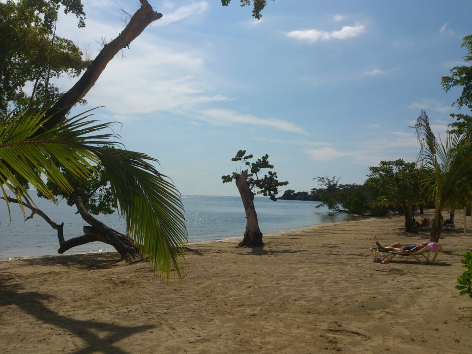 Platz ohne Ende Hotel Riu Negril