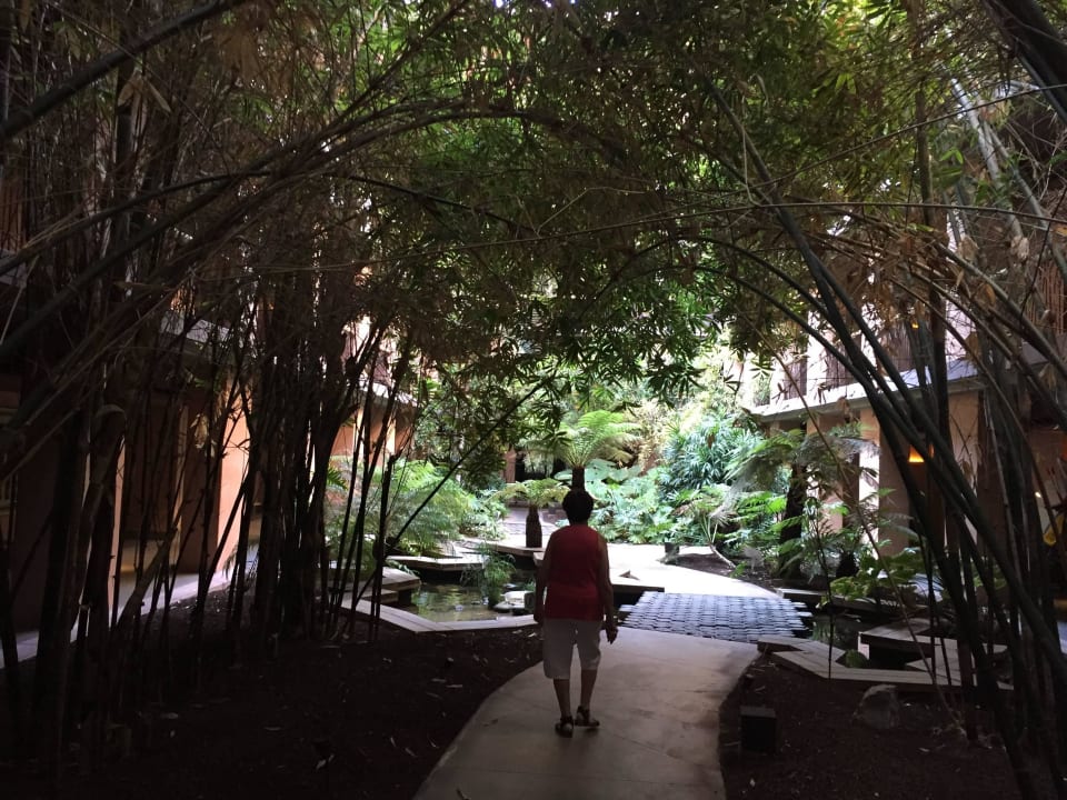 Dschungel Lopesan Baobab Resort