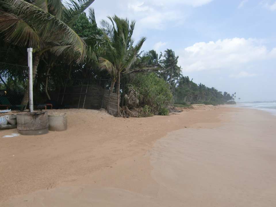 Hotel Haus am Meer Hotel Haus am Meer Wilde Ananas