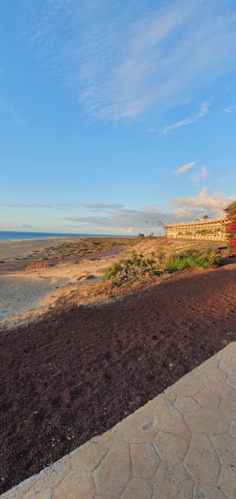 Außenansicht Iberostar Selection Fuerteventura Palace