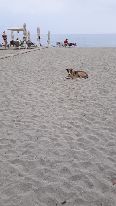 Strand Olympian Bay Grand Resort