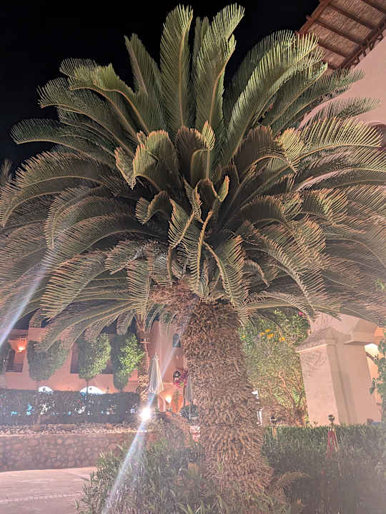 Gartenanlage Sultan Bey Hotel, El Gouna