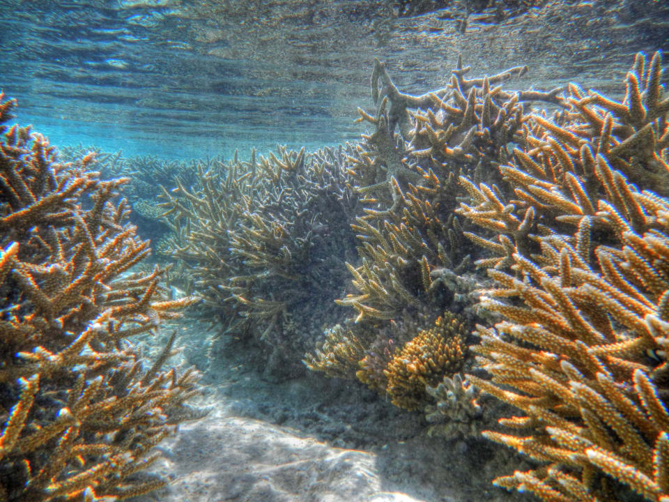 Durchgang zum Hausriff ananea Diamonds Athuruga