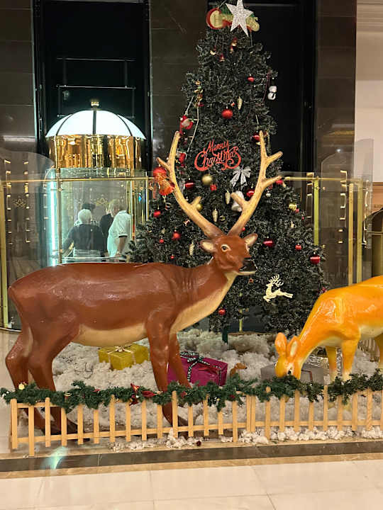 Lobby Side Royal Palace Hotel & Spa