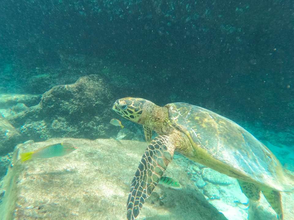 Strand Sun Siyam Olhuveli