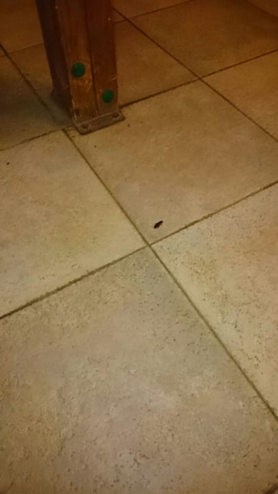 Zimmer SBH Costa Calma Beach Resort