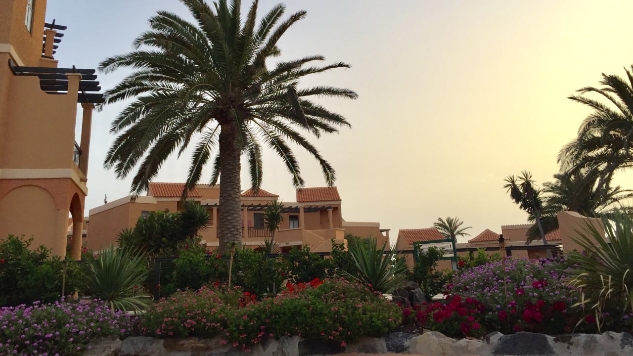 Ausblick Bakour Fuerteventura La Pared
