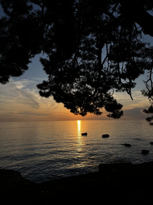 Ausblick Valamar Parentino Hotel