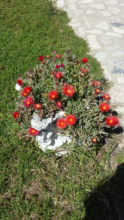 Garten  Villa Long Beach Resort