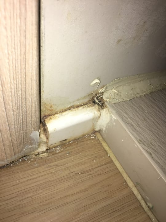 Zimmer VIVA Eden Lago