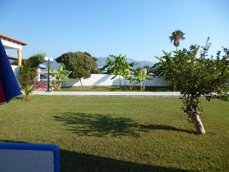 Blick vom Zimmer zum Pool Hotel Tigaki's Star