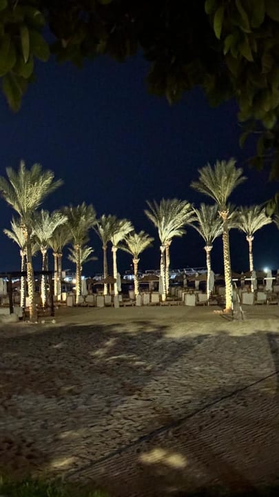 Gartenanlage Steigenberger Aqua Magic