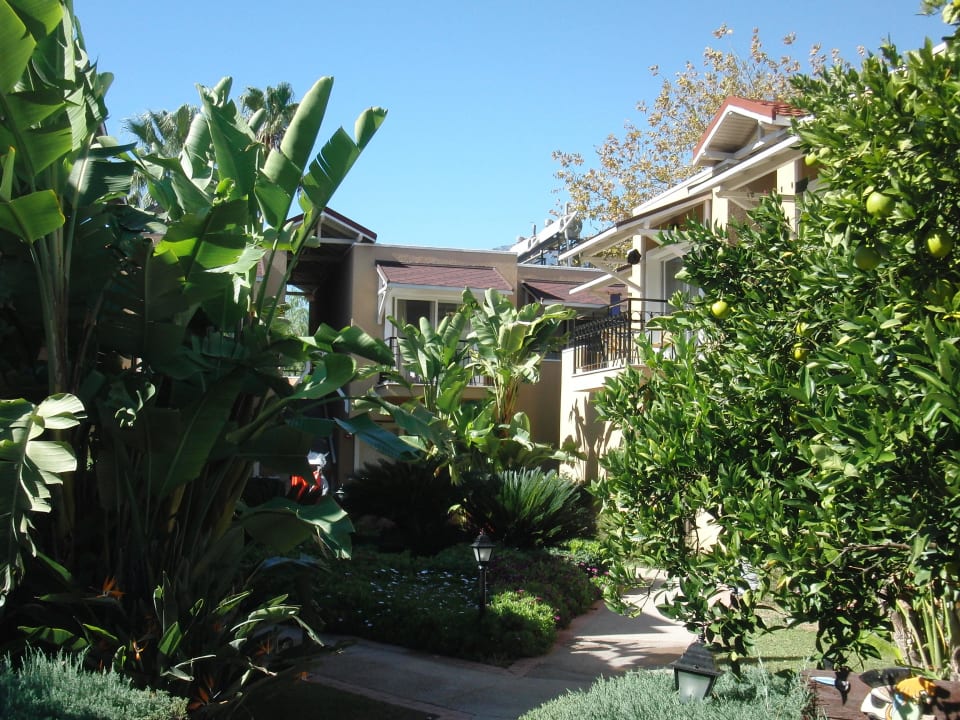 Wohnhaus nit Gartenanlage Pirate's Beach Club