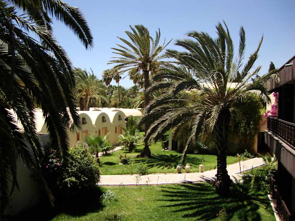 Cześć ogromnego zielonego ogrodu Hotel Paradis Palace