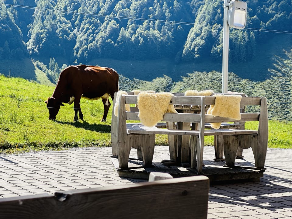 Ausblick Hotel Chalets Grosslehen