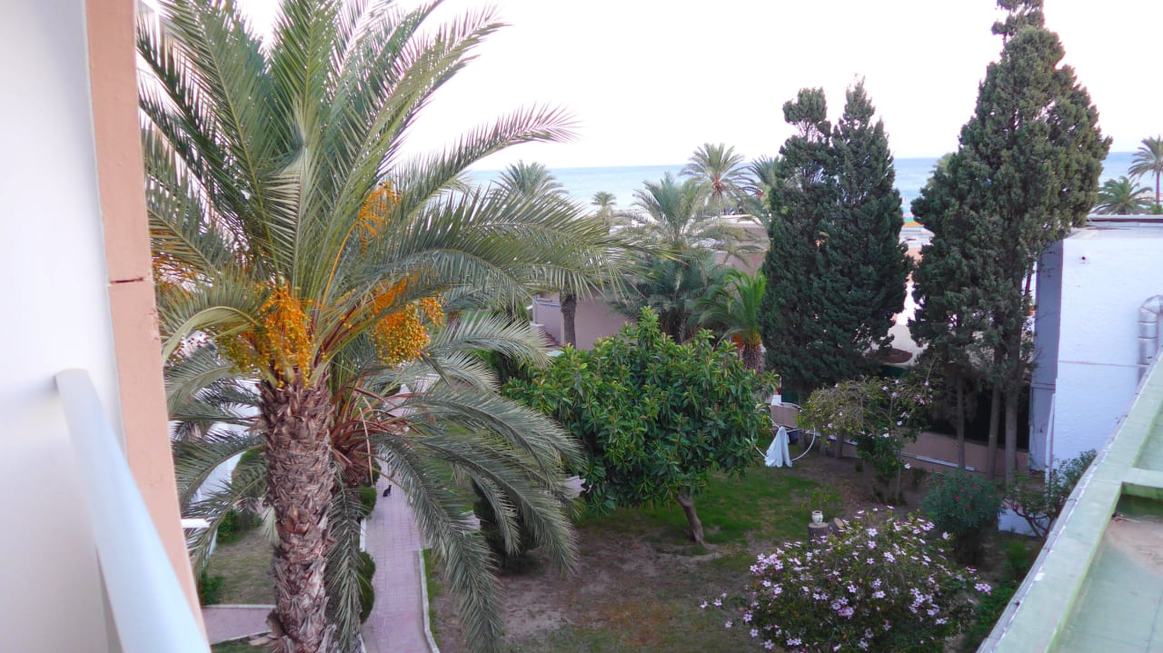 Balkon, seitlich links Royal Lido Resort & Spa