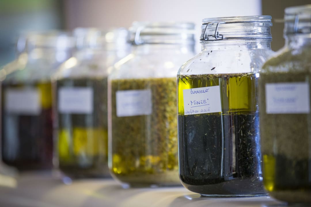 Gastro Falkensteiner Hotel & Spa Falkensteinerhof