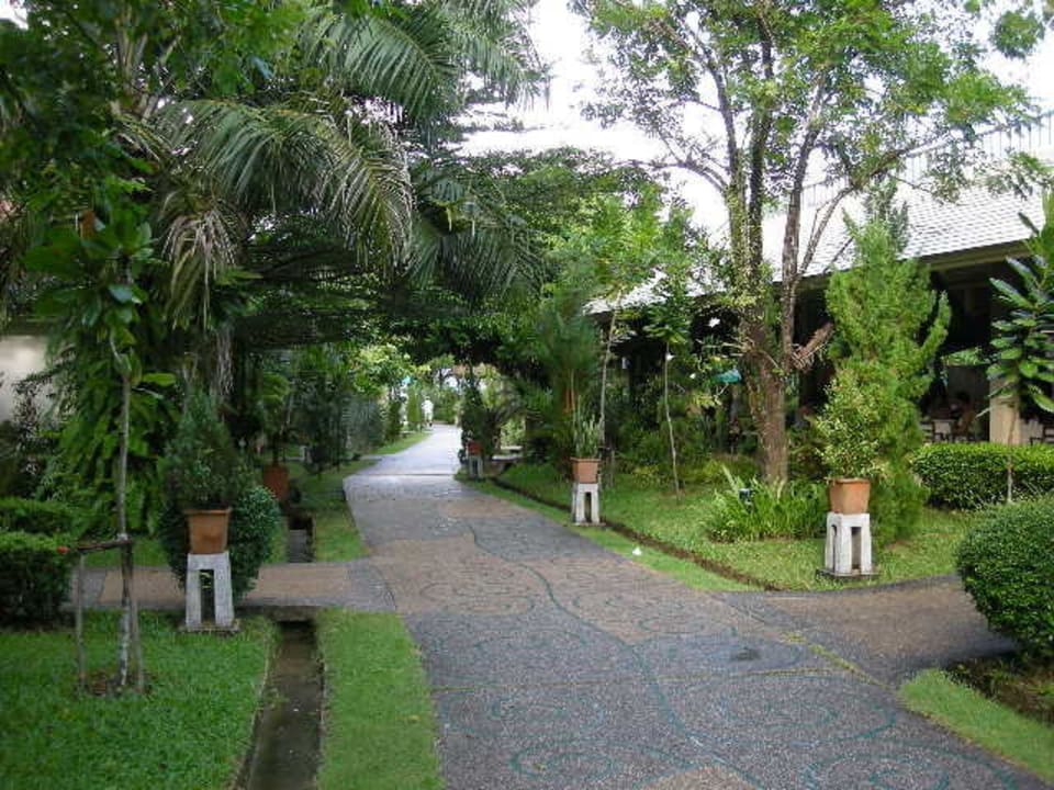 Weg zum Strand,ca.60 Sekunden. Baan Khaolak Beach Resort