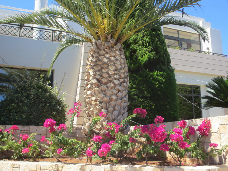 GHR 2014 Grand Hotel Holiday Resort