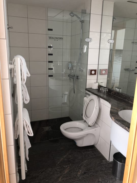 Zimmer Hotel Waldhorn