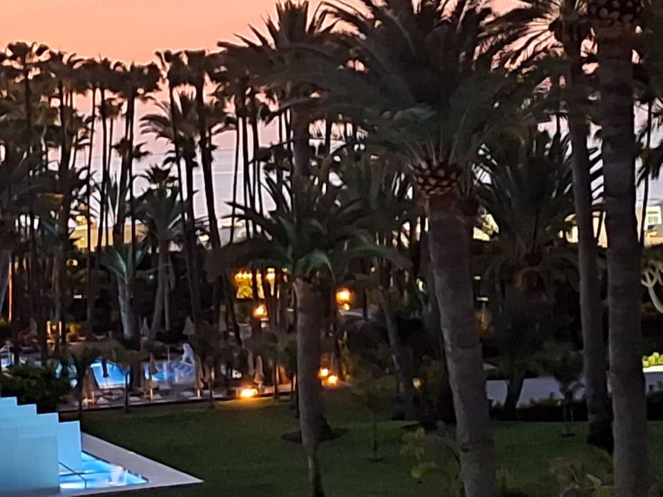 Gartenanlage Hotel Riu Palace Oasis