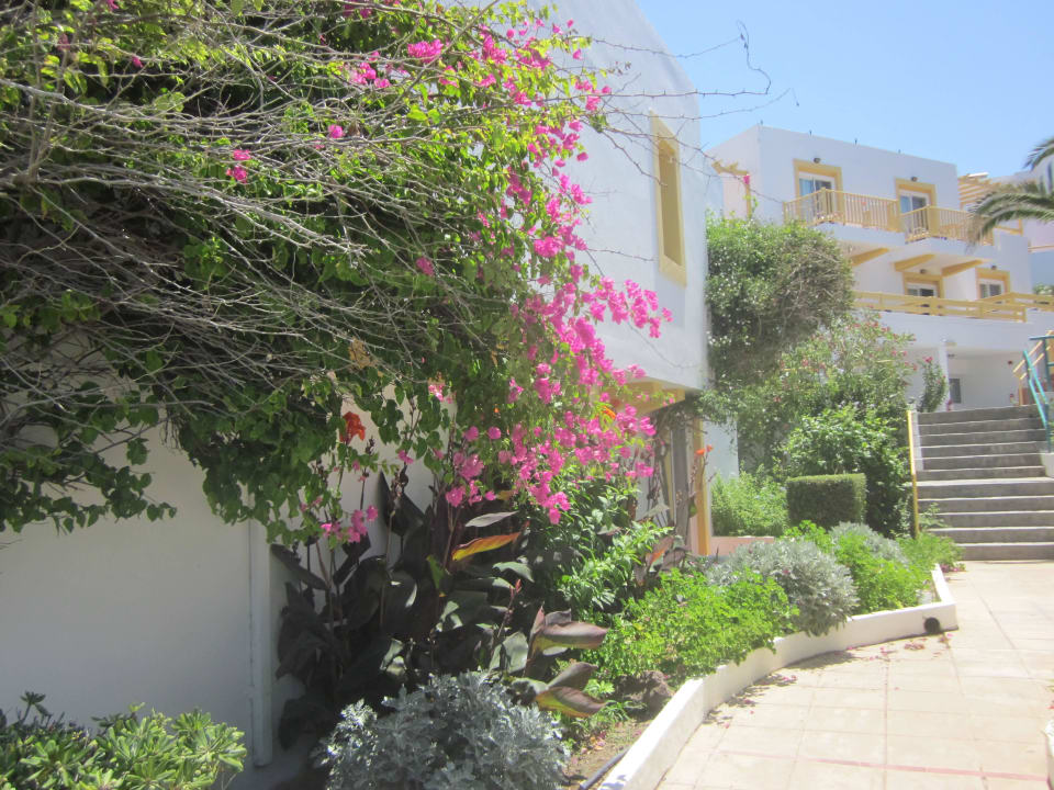 Aussengelände Mastichari Bay Hotel