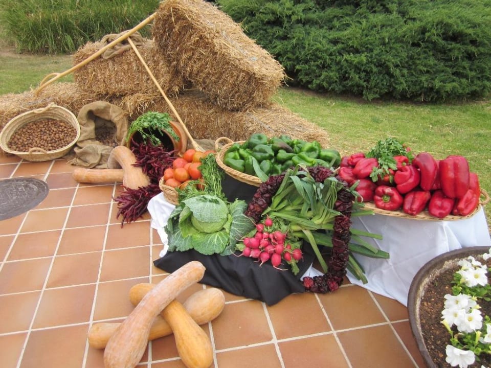 Spanischer Abend blau punta reina