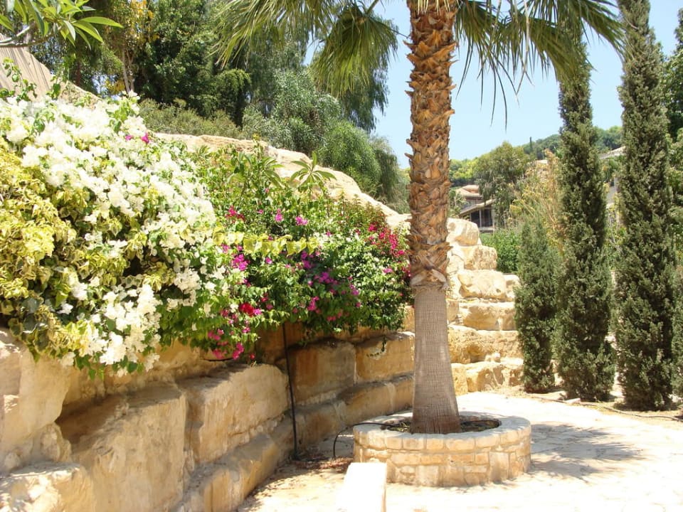 Garten bei der Flusslandschaft Columbia Beach Resort