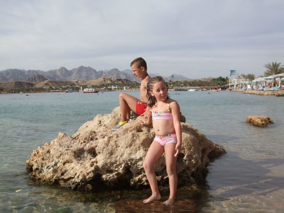 Die Felsenkinder Albatros Sharm Resort
