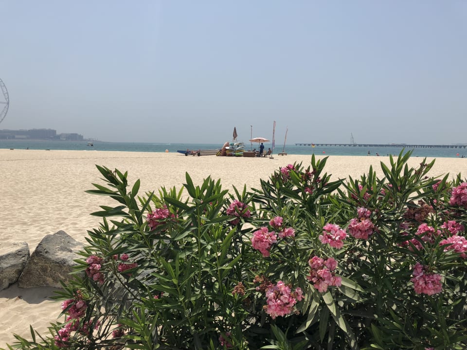 Strand Le Royal Méridien Beach Resort & Spa Dubai