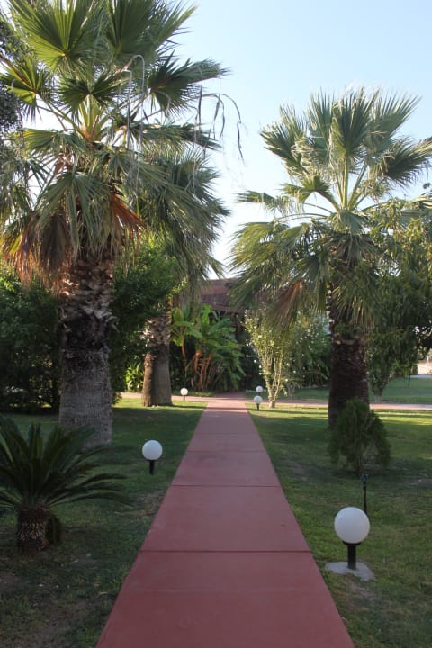 Ogród Hotel Golden Odyssey