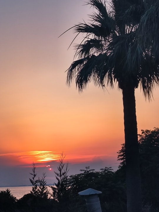 Gartenanlage Can Garden Beach