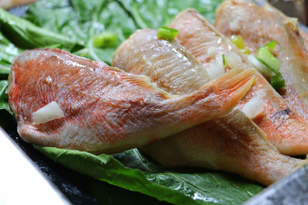 Gastro Hotel Roc Barlovento